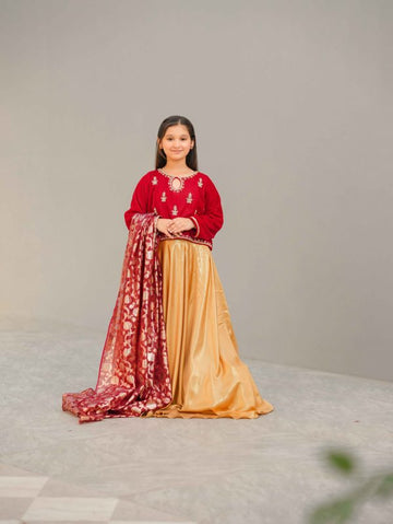 Red Velvet Kurti with Shimmer Silk Lehenga and Banarsi Jacquard Dupatta For Girls